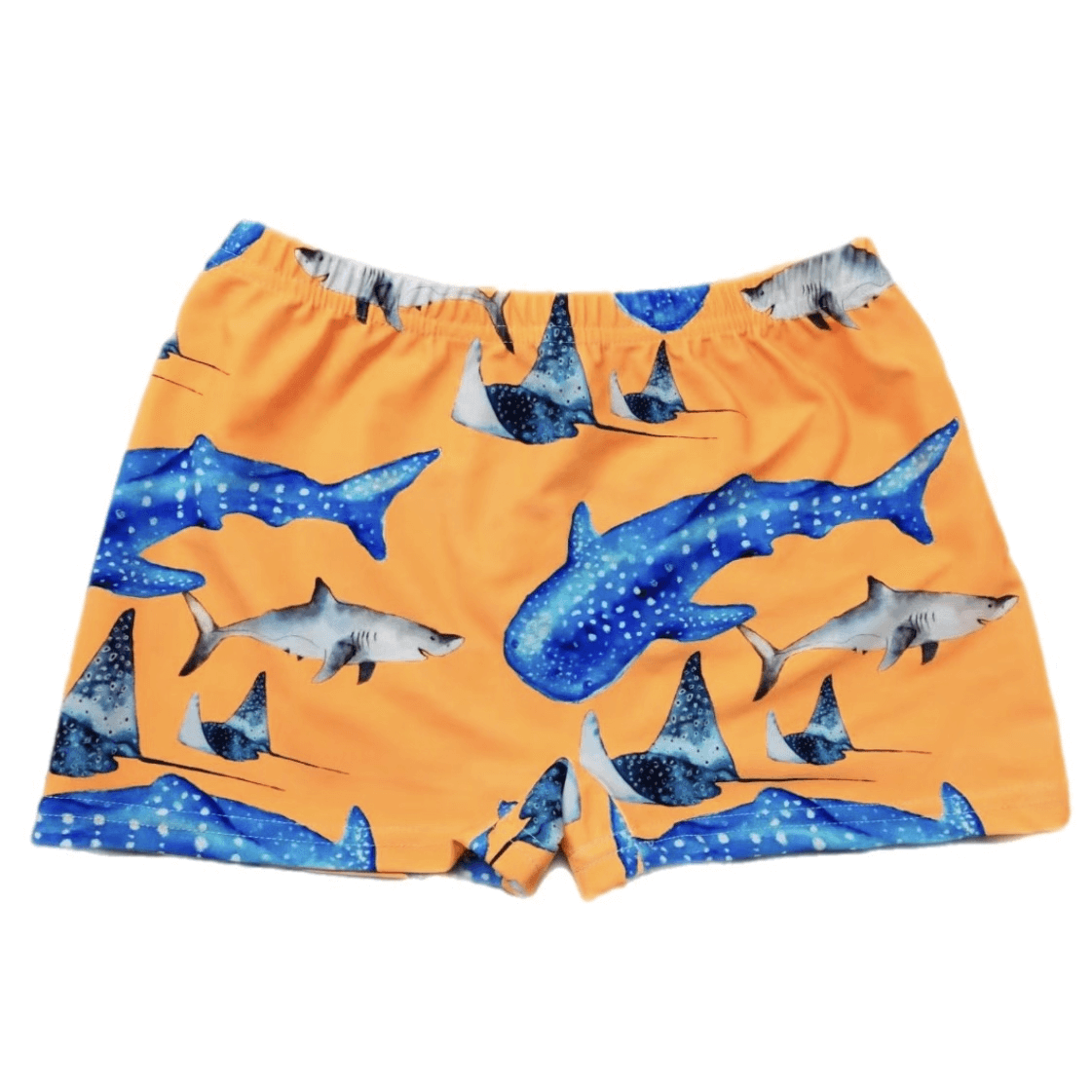 Boys sales shark swimwear